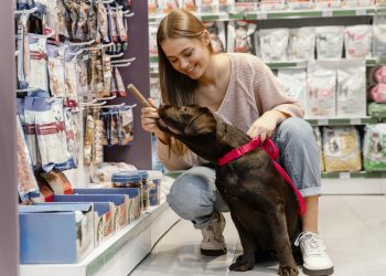 adorable-dog-with-owner-pet-shop